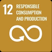 SDG - 12